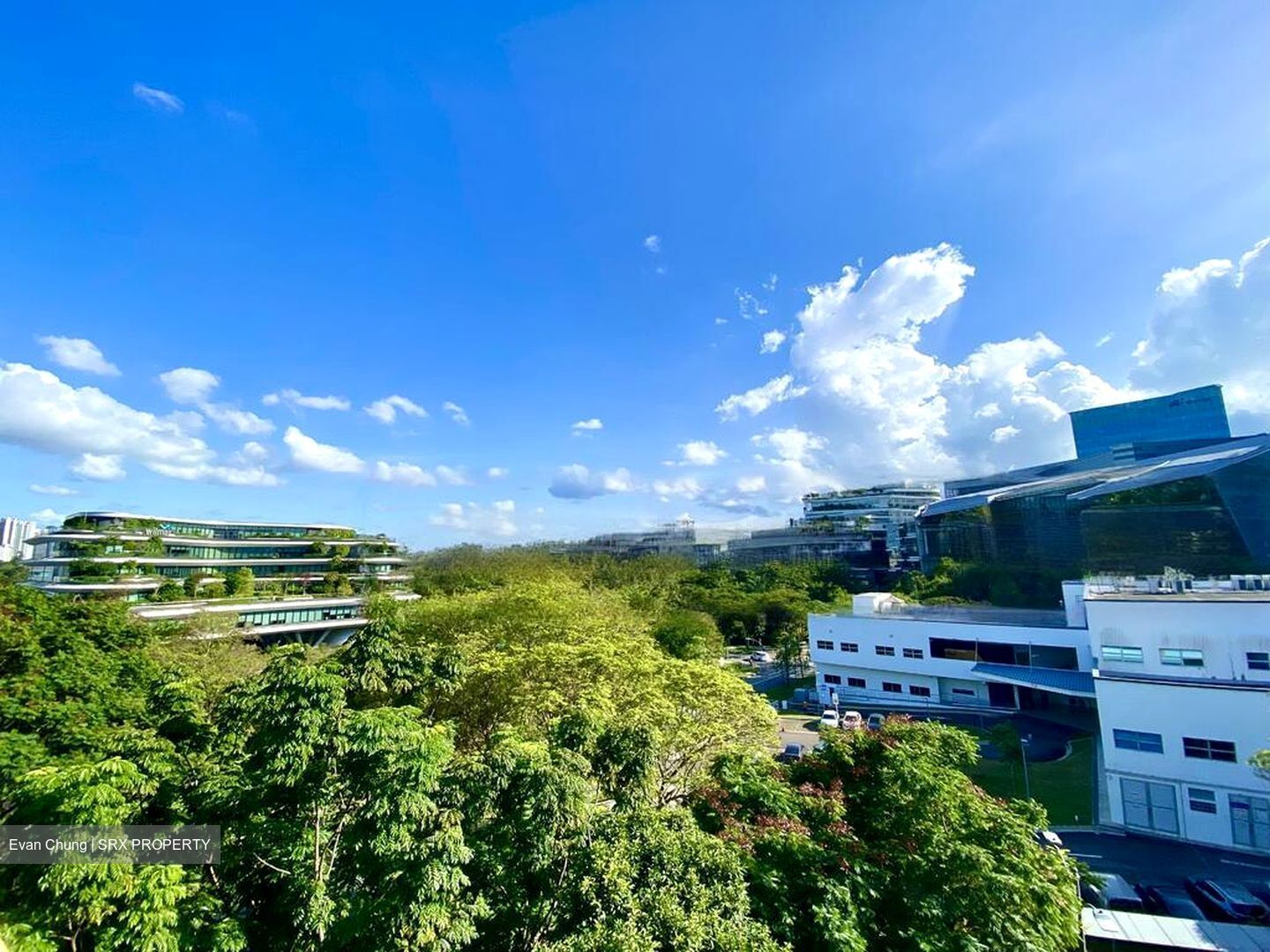 One-north Residences (D5), Apartment #458594821